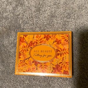 Ace Beaute Falling for you eyeshadow palette.